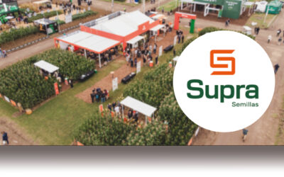«El lote” de maíz de Expoagro 2025  lo sembró Supra Semillas
