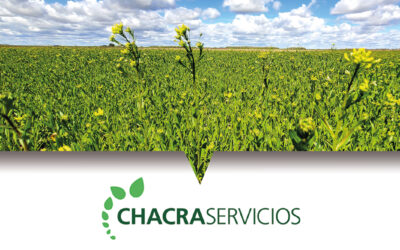 Chacraservicios renueva su compromiso en una nueva campaña de Camelina