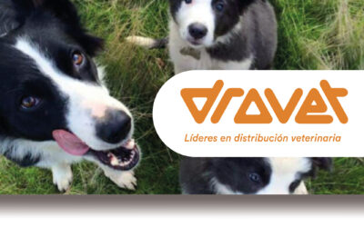 Los perros también se cuidan la piel: una enfermedad que preocupa en caninos