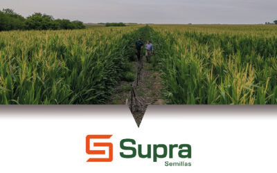Se larga el “SupraRoad”, la gira de  la genética y la agronomía