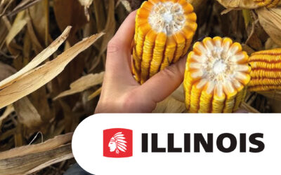 ILLINOIS evoluciona para la nueva campaña de maíz