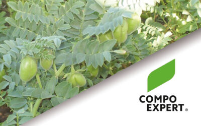 Compo Expert presentará sus soluciones para legumbres en Salta