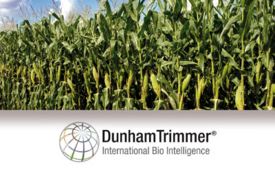 Biológicos en América Latina: ¿El nuevo estándar para una agricultura moderna?