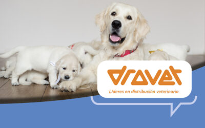 Los animales de compañía fueron un eje del Congreso Veterinario Drovet