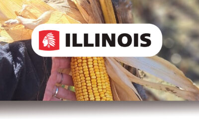 ILLINOIS SEMILLAS, una fuerza que impulsa el maíz en el CIM 2025