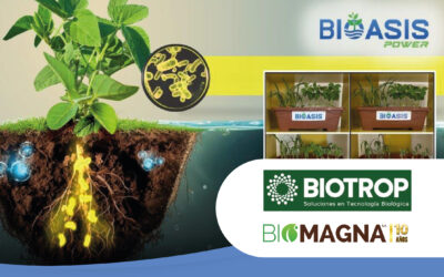 Cambios en el mercado argentino de biológicos, que se realizan con un revolucionario lanzamiento