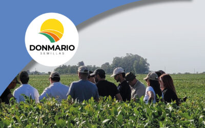 Un panorama de oportunidades para la soja: el “buen manejo” es fundamental