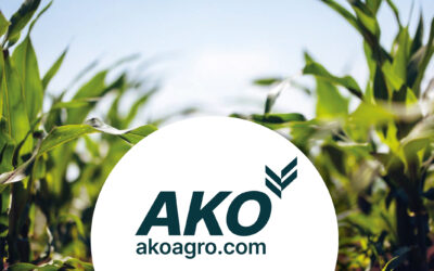 AKO Agro propone una estrategia nutricional integral para maíz frente a suelos fríos y deficiencia de zinc