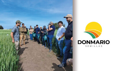 ESTRATEGIA 2026 EN TRIGO: Cómo alcanzar el máximo rinde por hectárea y anticipar la próxima campaña