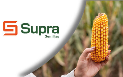 La genética tardía está desarrollada con mejores estándares