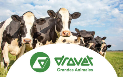 La sarna bovina vuelve a la carga y la bioseguridad ocupa un rol central