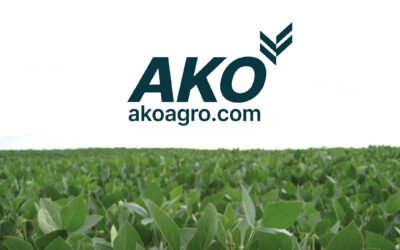 DEL SUELO AL PODIO: LA INGENIERÍA DEL RENDIMIENTO AGRÍCOLA