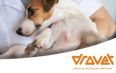 Nuevos paradigmas potencian los tratamientos de la Dermatitis Atópica