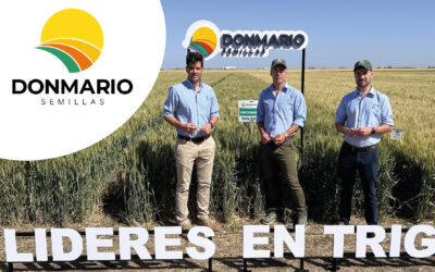La marca líder en trigo proyectó el futuro del cultivo en su Jornada DONMARIOMÁS