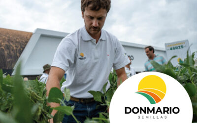 Soja de segunda: DONMARIO marca el camino de variedades y manejo para cada región
