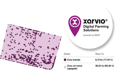 El fin del Sorgo de Alepo: resultados comprobados reflejan el 380% de retorno de inversión y 90% de ahorro en insumos gracias a la precisión digital.