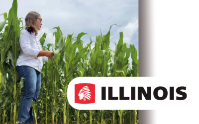 Última llamada para el maíz:  la siembra tardía