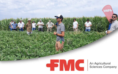 Combinación estratégica en soja para transformar sanidad en rendimiento