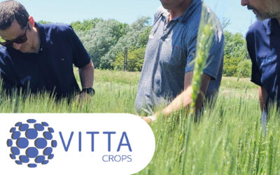 VITTA CROPS: innovación tecnológica y sostenibilidad al servicio de la rentabilidad del agro
