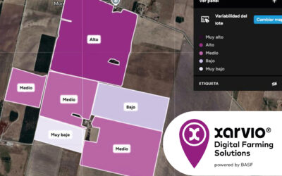 Cómo la tecnología digital potencia el control de malezas y maximiza el rendimiento en soja