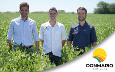 La nueva generación de soja ya está en el campo: lanzamientos 2026 de la marca líder en genética