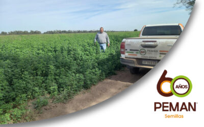 CONICET-UNL impulsan la innovación forrajera con el lanzamiento de Munay y Yachay