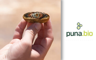 Puna Bio presenta en Expoagro 2026 su biotecnología extremófila que redefine el rendimiento en trigo y soja.