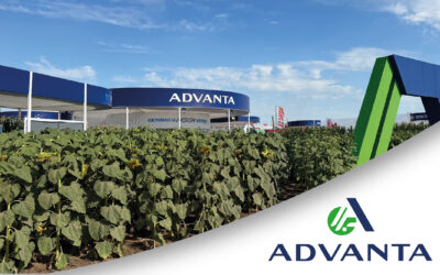 Advanta sale a la ruta con 65 autos clásicos junto a su red de distribución