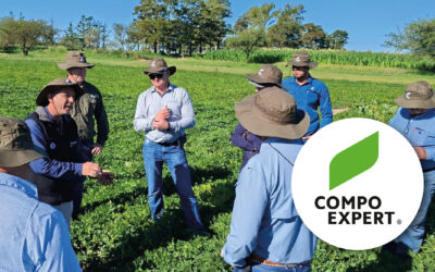 EL SECRETO DEL ÉXITO GLOBAL DEL MANÍ ARGENTINO: CERTIFICACIONES DE CALIDAD Y EL MODELO QUE ATRAE MIRADAS INTERNACIONALES