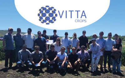 Del shock de precios a la eficiencia: Vitta Crops impulsa un nuevo modelo de nutrición nitrogenada y hacer frente al escenario de alta volatilidad