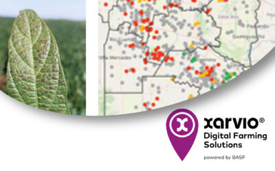 Cercospora y Septoria: una presión sanitaria creciente que redefine el manejo de soja en la campaña 2026