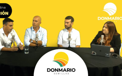 Sintonía fina y eficiencia: el camino del trigo para maximizar rindes en una campaña de altos costos