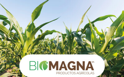 Biomagna lanza Bioasis, una innovación biológica frente al estrés térmico e hídrico