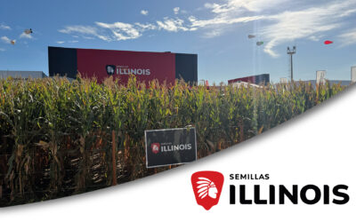 ILLINOIS Semillas mostrará todo su portfolio de híbridos de maíz en el Congreso Aapresid 2026