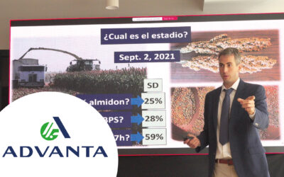 LA REVOLUCIÓN DEL SORGO: LA TECNOLOGÍA DE ÚLTIMA GENERACIÓN QUE POTENCIA SU CALIDAD NUTRICIONAL