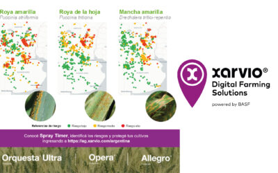 Mirá el mapa de alertas: qué muestran hoy las enfermedades en trigo