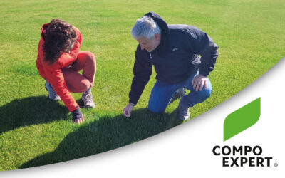 Césped en primavera: las claves para sostener el crecimiento y el color ante un escenario de lluvias