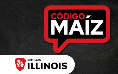 Del escenario de campaña al manejo del cultivo: las claves del Código Maíz
